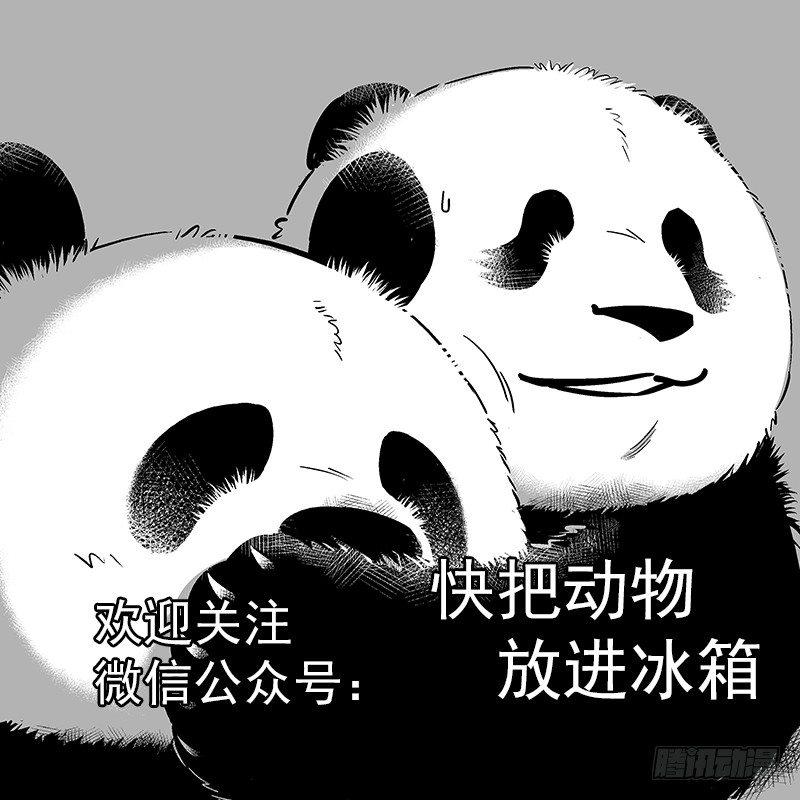 🍕快把动物放进冰箱 093装逼翻车现场 第10页
