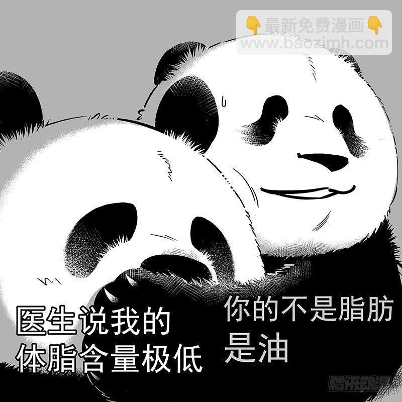 🍕快把动物放进冰箱 093装逼翻车现场 第5页