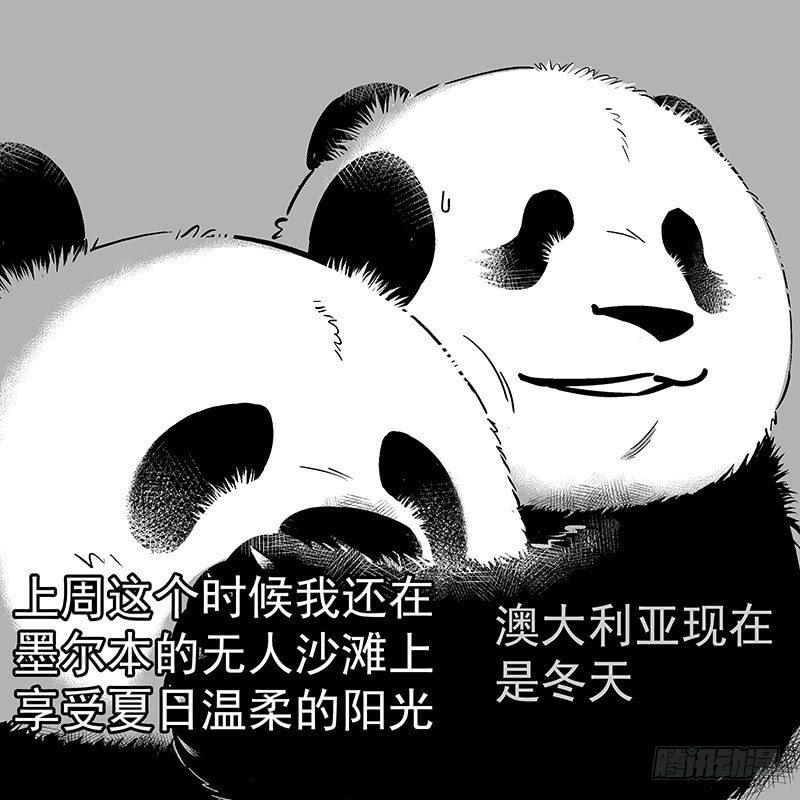 🍕快把动物放进冰箱 093装逼翻车现场 第7页
