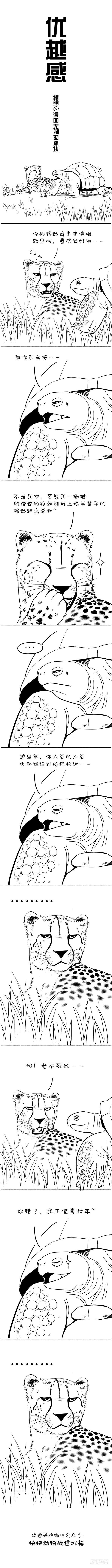 🍕快把动物放进冰箱 100输了，彻底输了…… 第1页
