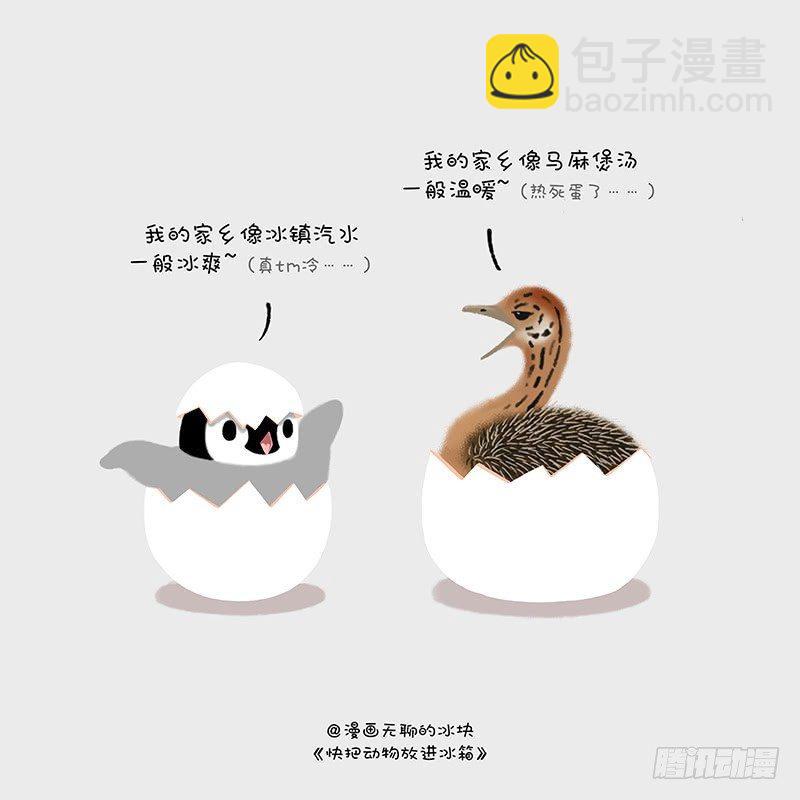 🍕快把动物放进冰箱 100输了，彻底输了…… 第2页