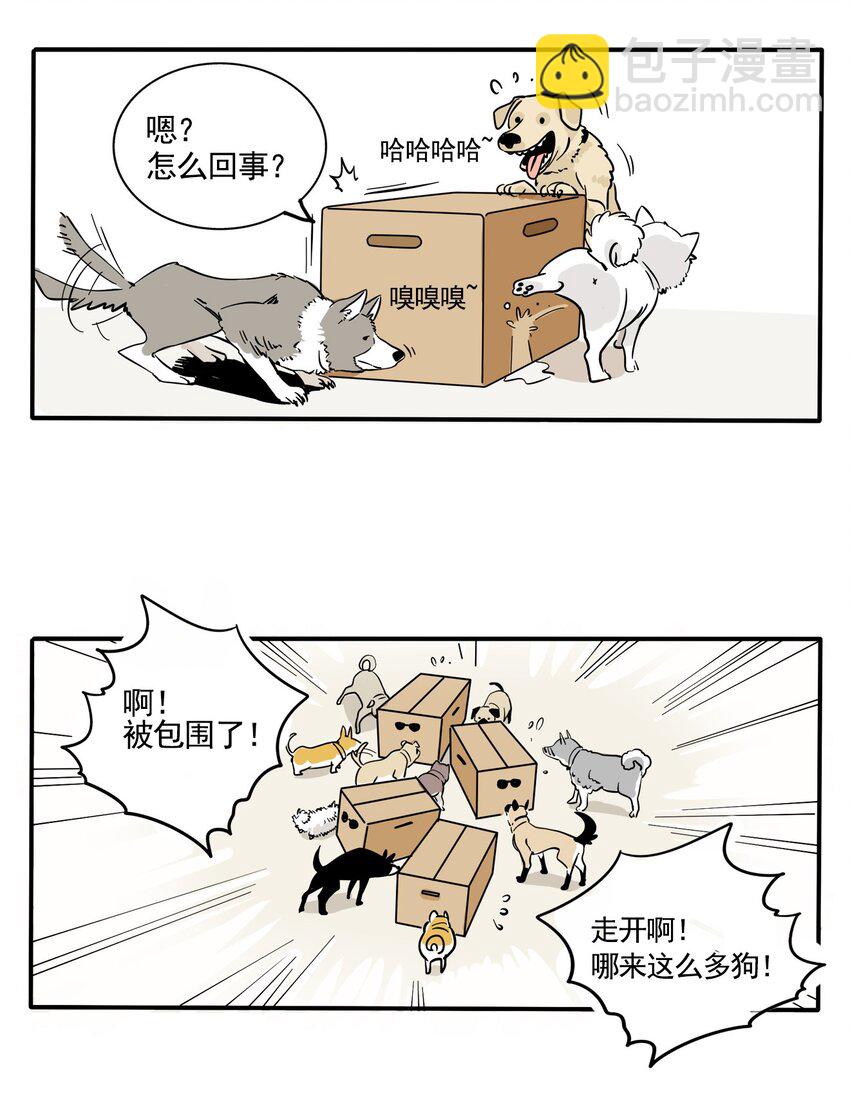 221-第221话