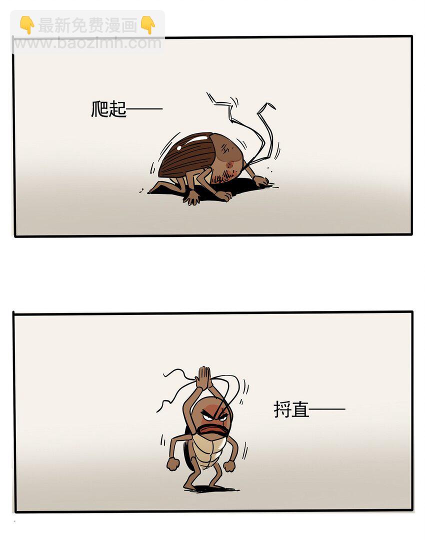 247 247-第247话