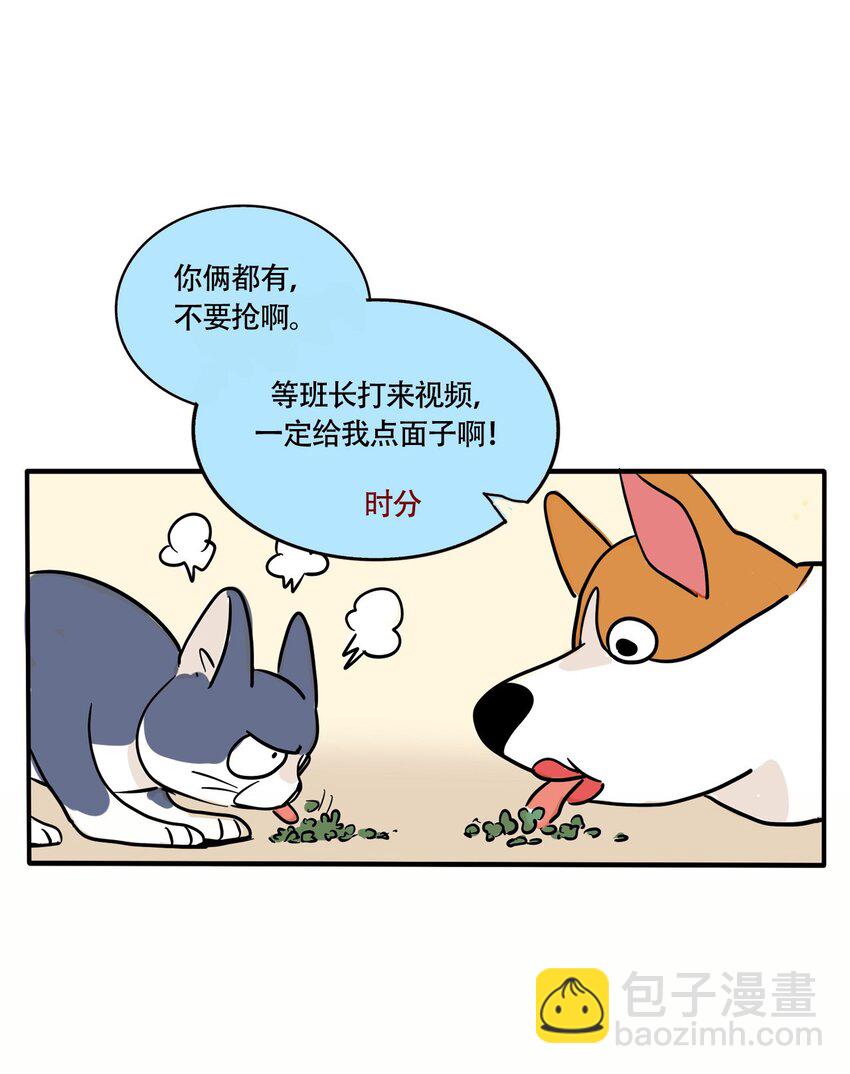 322 322-第323话