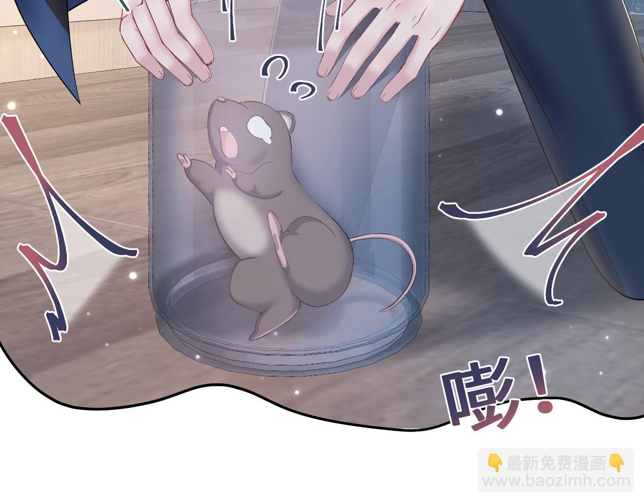 第135话 求摸求抱求同情(1/3)-第137话