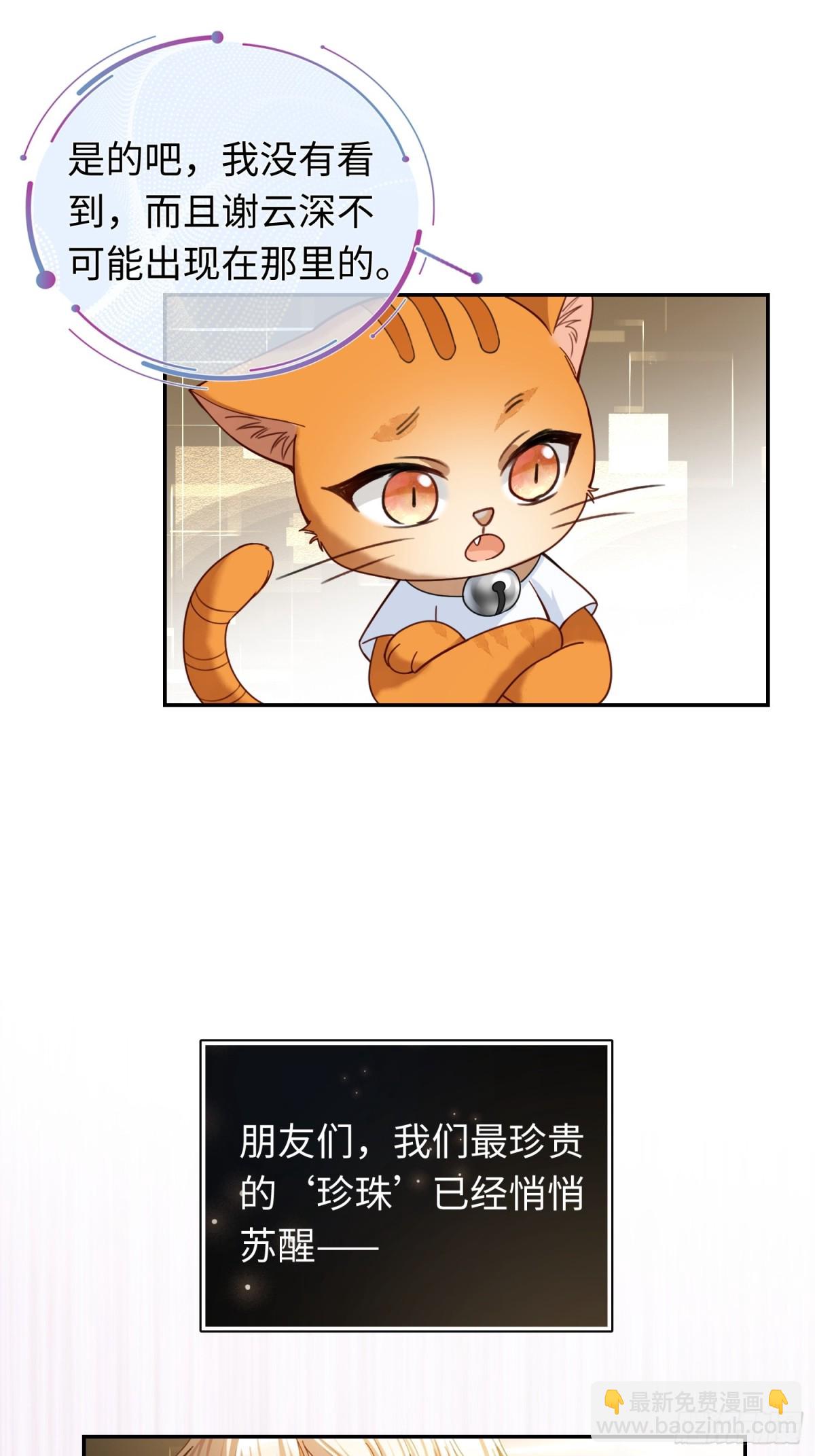 39 兔兔成了拍卖品？！(1/2)-第39话