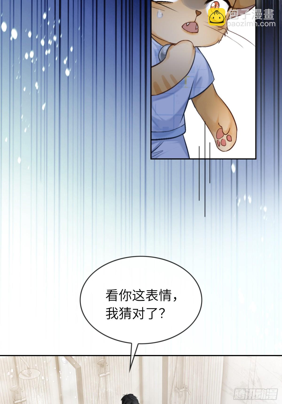 07 兔兔被表白了？！(1/2)-第7话