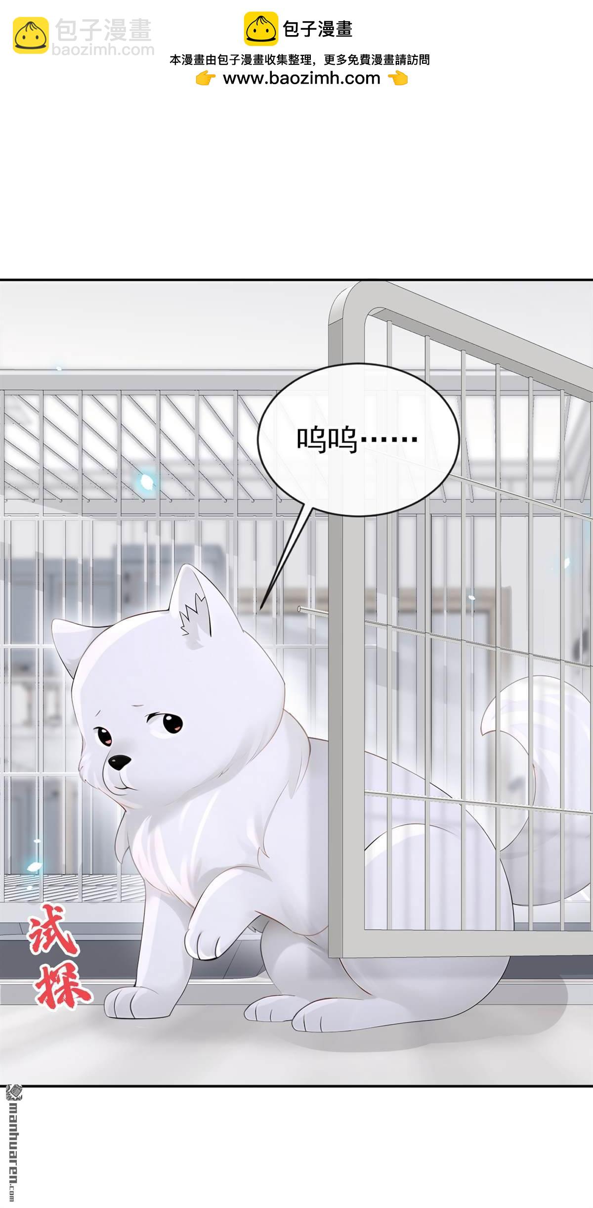 🍕快穿：宿主她一心求死 第115回 叫我宝宝 第2页