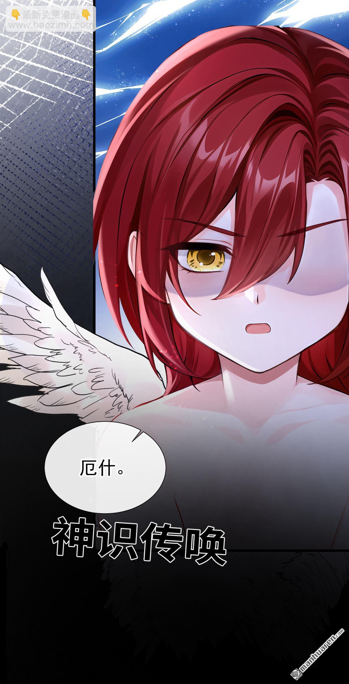 第218回 这翅膀，是她做的？-第219话