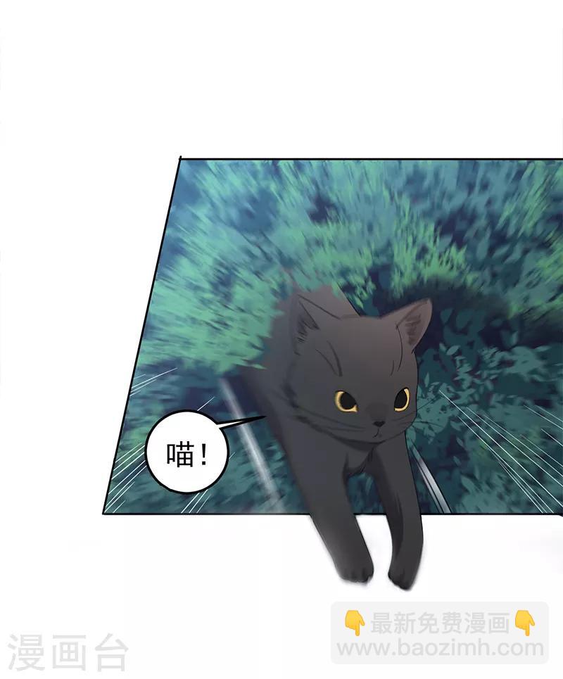 🍕狂女重生：纨绔七皇妃 第269话 焰王爷 第12页