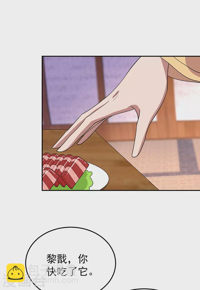 🍕狂女重生：纨绔七皇妃 第297话 你这个笨蛋 第4页