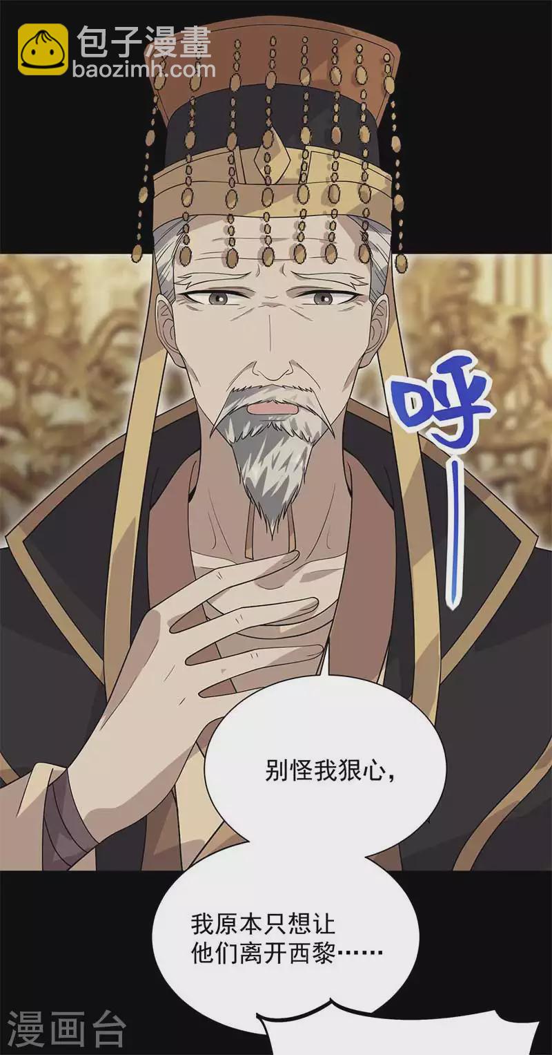 🍕狂女重生：纨绔七皇妃 第335话 为母则刚 第19页