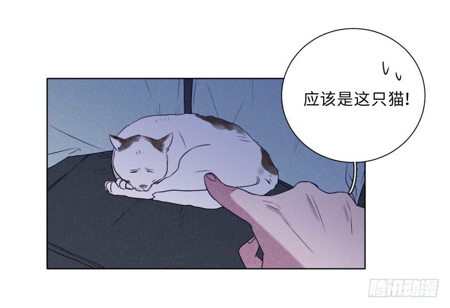 重逢(1/2)-第43话