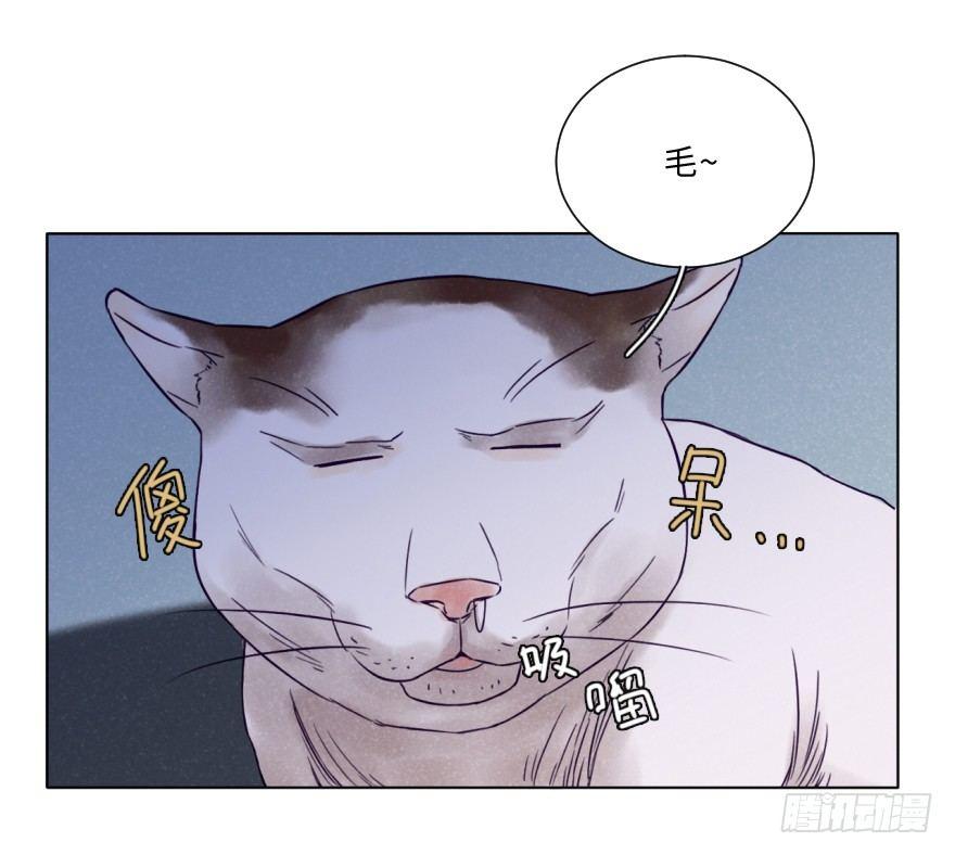 重逢(1/2)-第43话