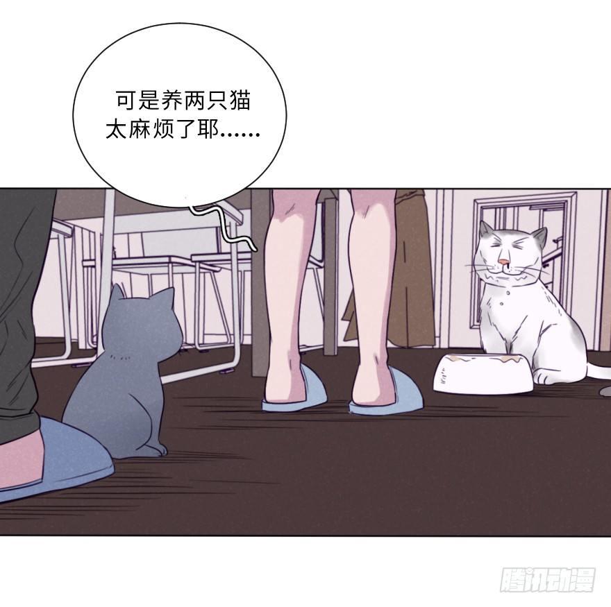 番外/丑小毛(1/2)-第59话