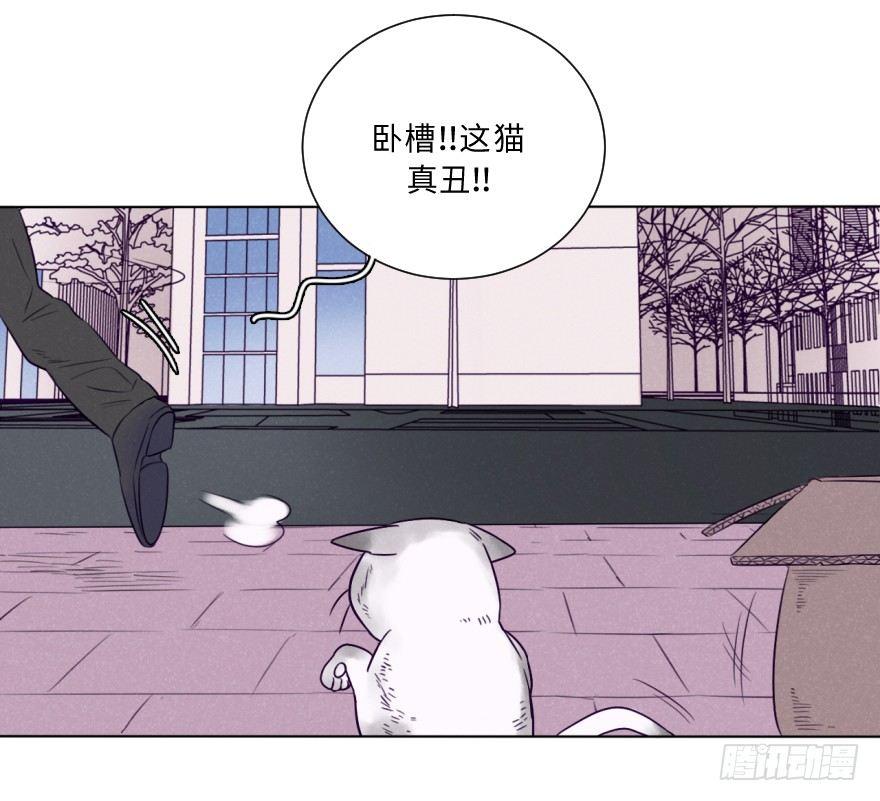 番外/丑小毛(1/2)-第59话