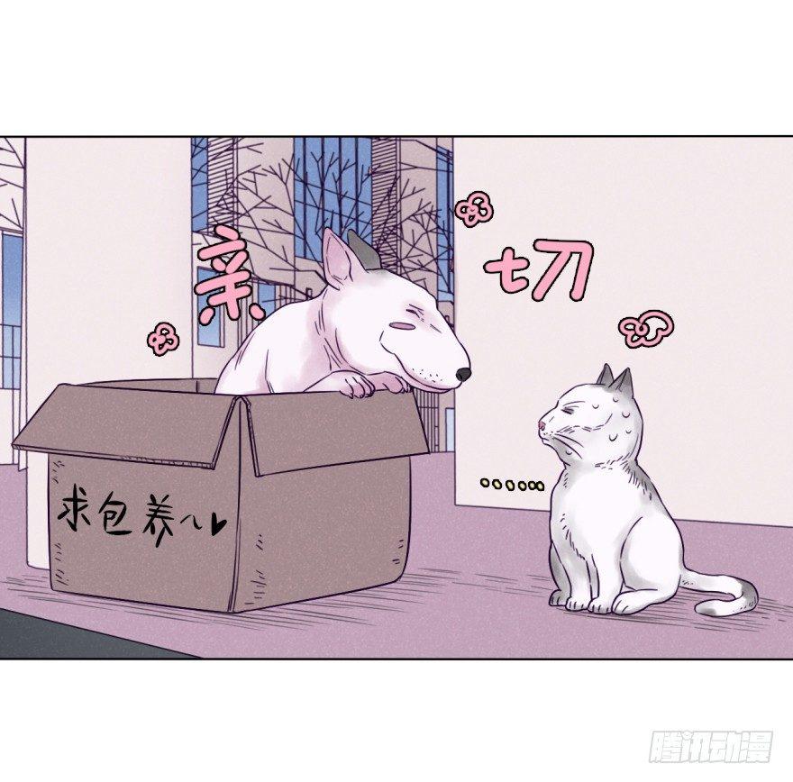 番外/丑小毛(1/2)-第59话
