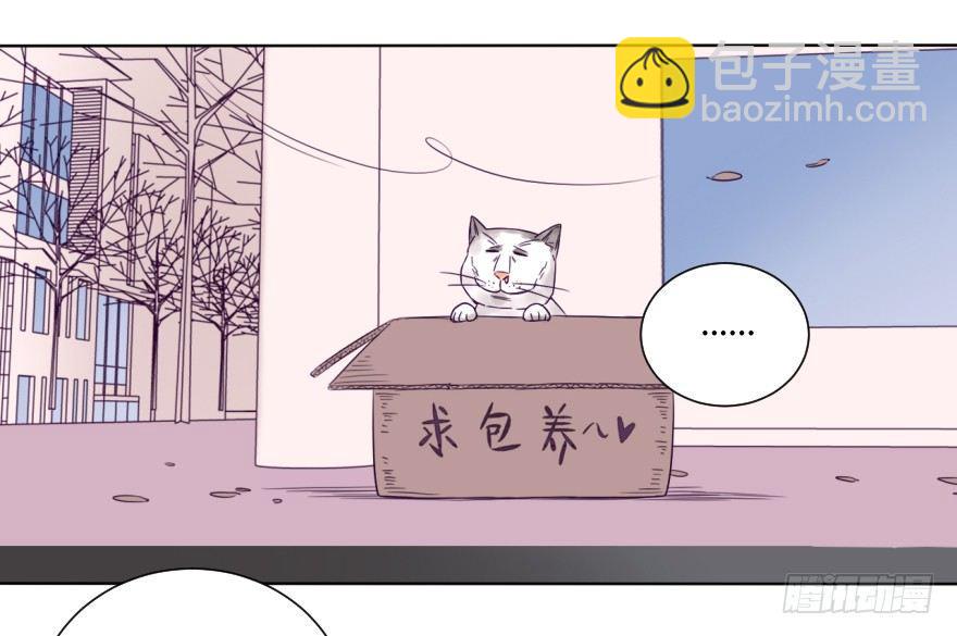 番外/丑小毛(1/2)-第59话