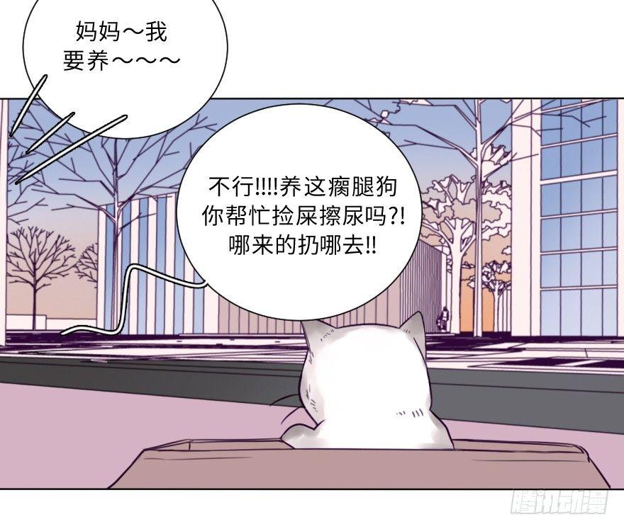 番外/丑小毛(1/2)-第59话