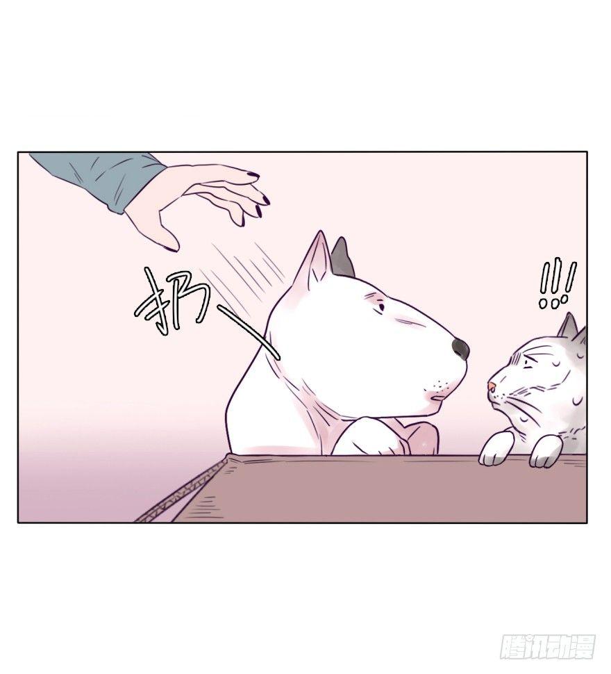 番外/丑小毛(1/2)-第59话