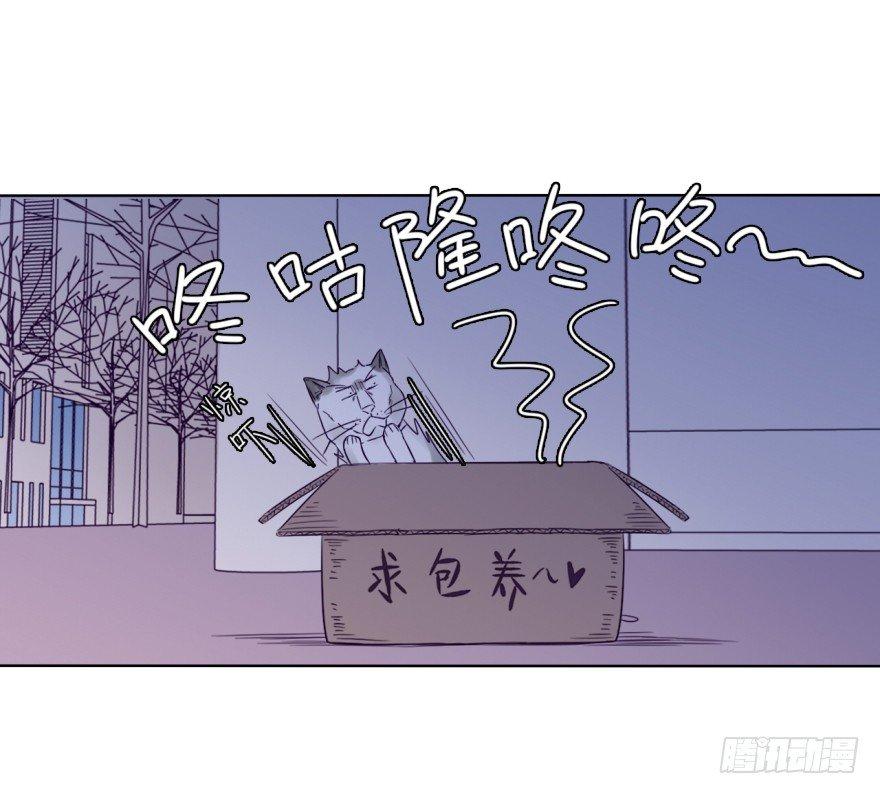 番外/丑小毛(1/2)-第59话