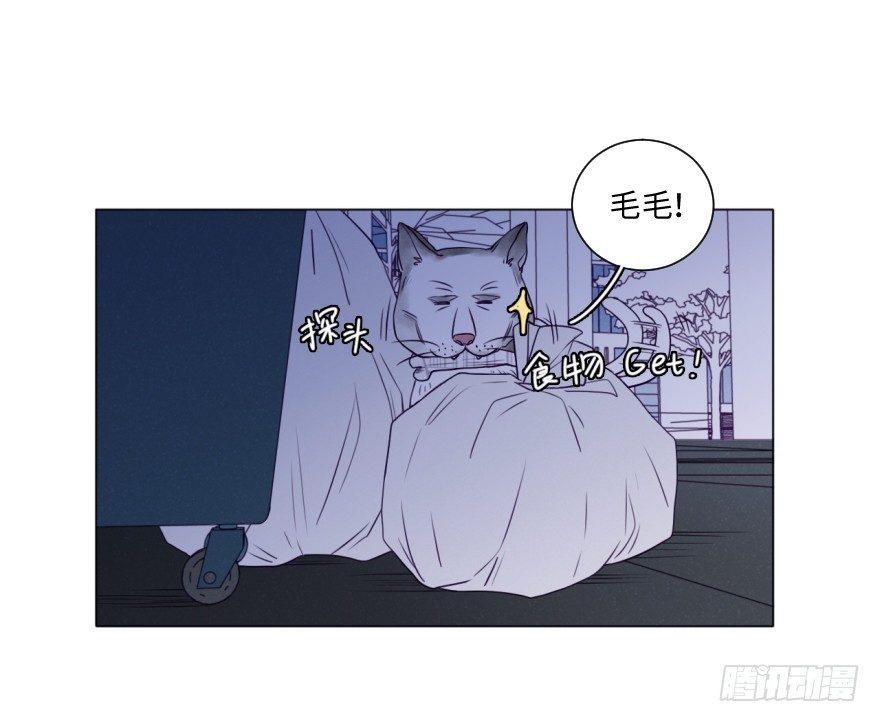 番外/丑小毛(1/2)-第59话