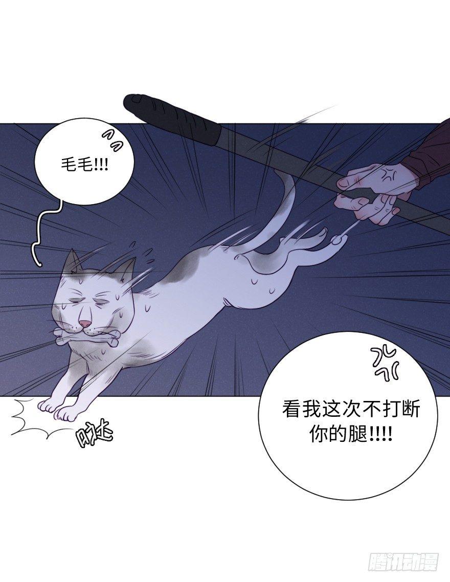 番外/丑小毛(1/2)-第59话