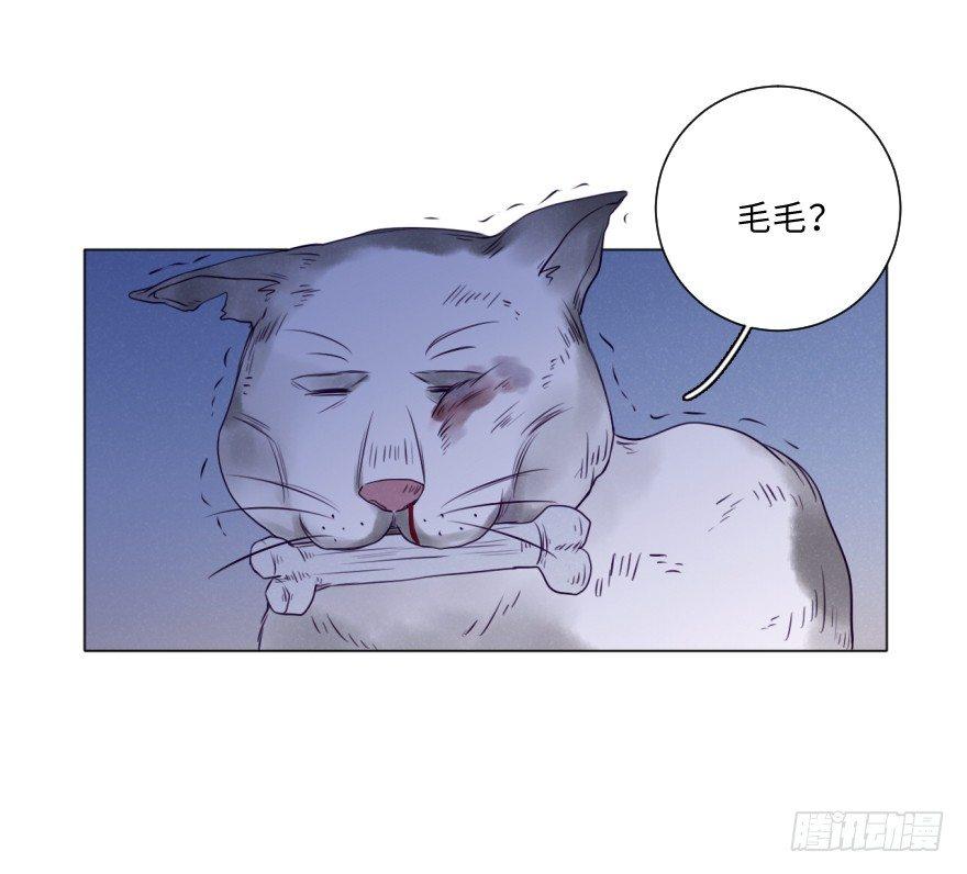番外/丑小毛(1/2)-第59话