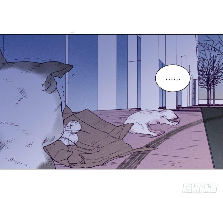 番外/丑小毛(1/2)-第59话