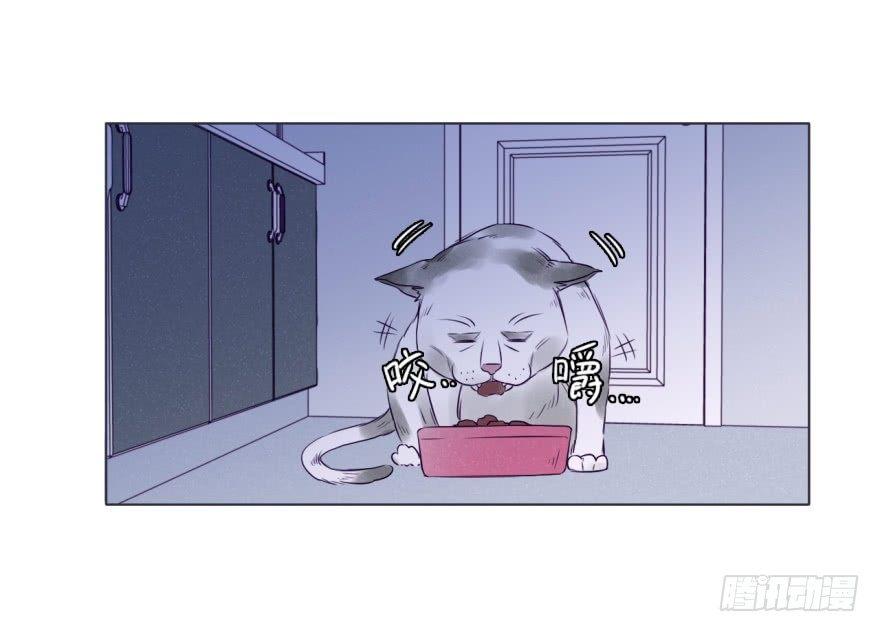 厨神-第67话