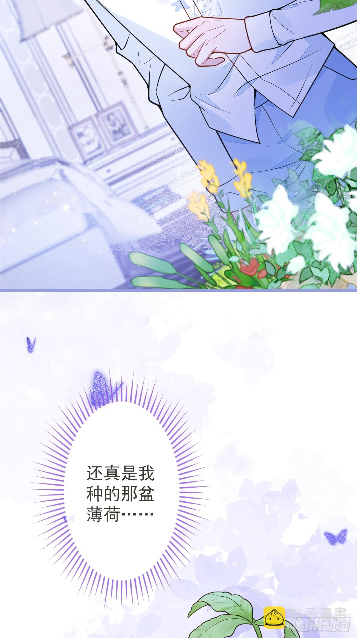 12-花孔雀。-第13话