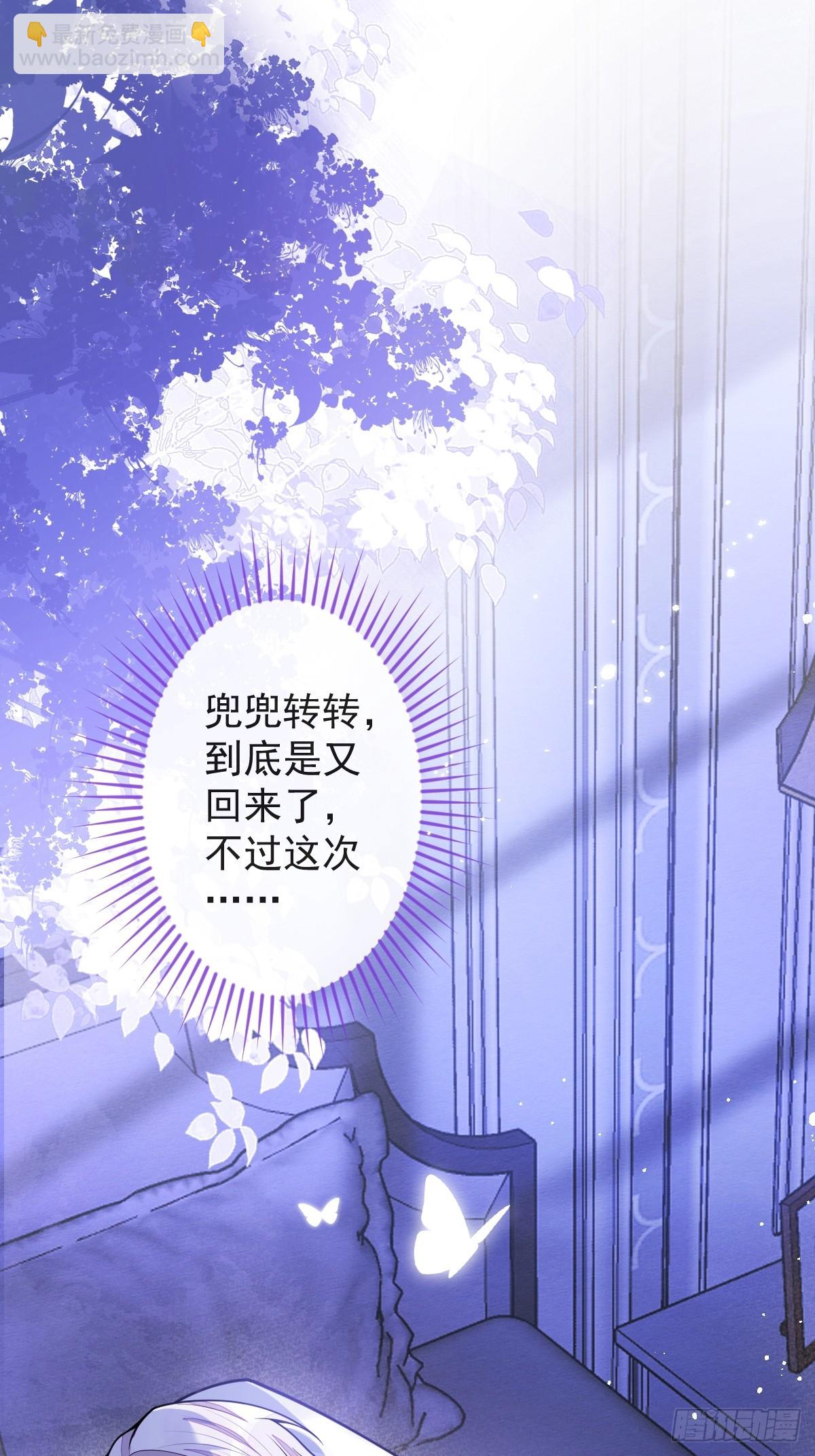 12-花孔雀。-第13话