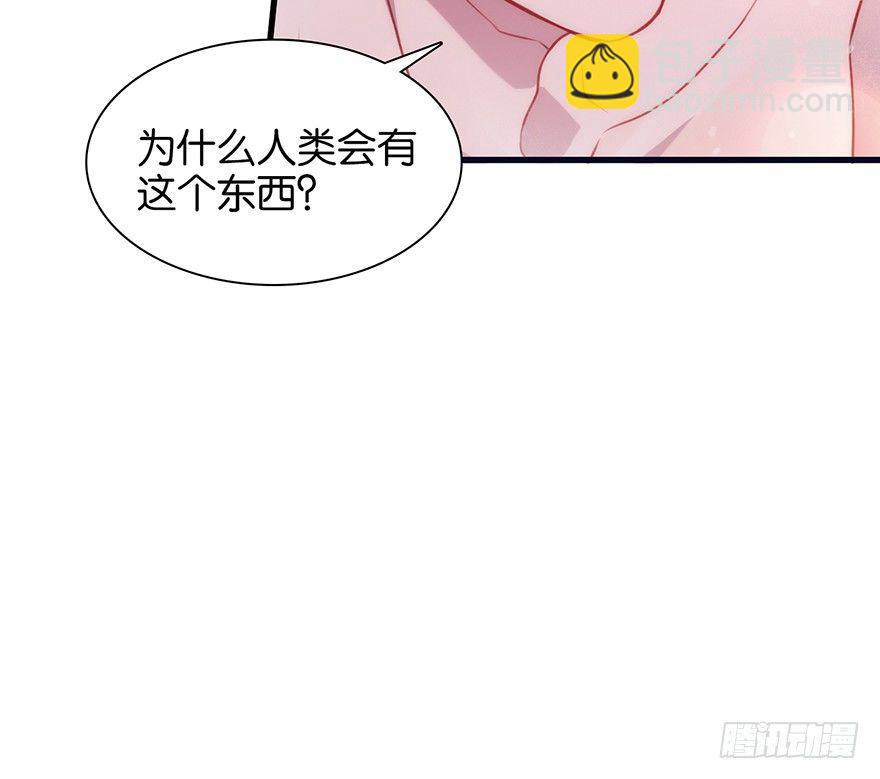 吾栖之肤(1/2)-第13话