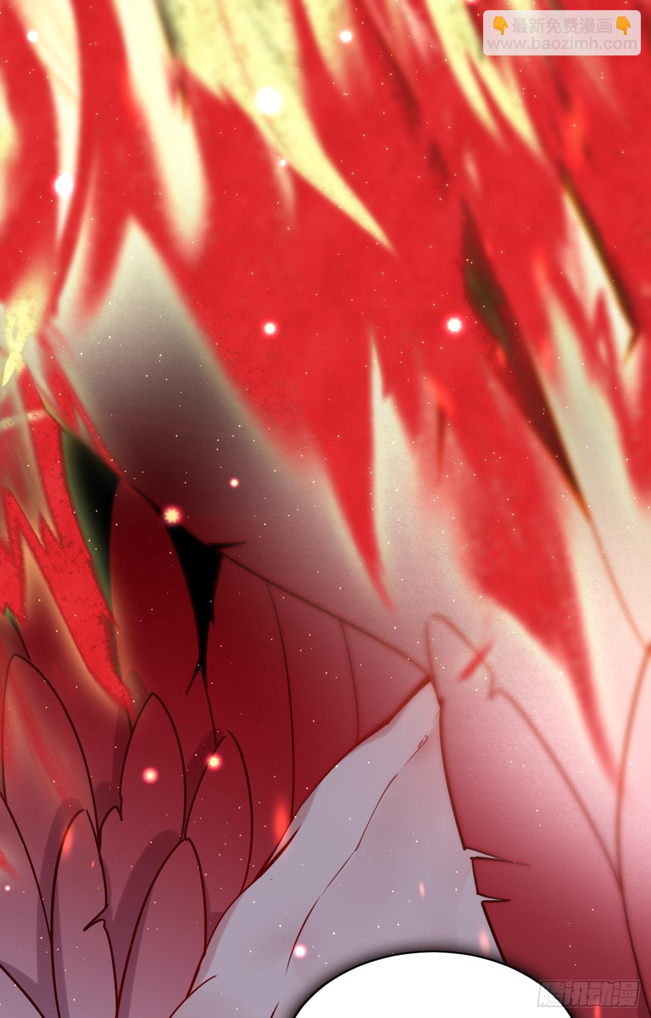 火焰里的细语-第41话