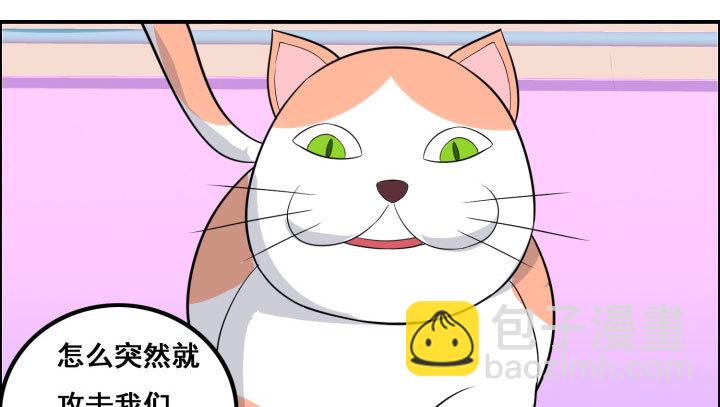 41话 快杀了他！(1/3)-第41话
