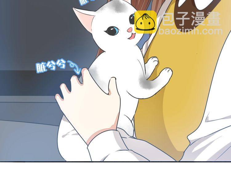 第37话 小团子猫咪(1/2)-第39话