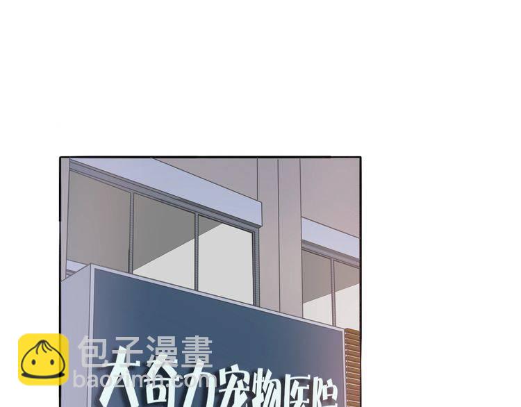 第37话 小团子猫咪(1/2)-第39话