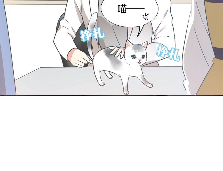 第37话 小团子猫咪(1/2)-第39话