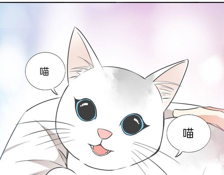 第37话 小团子猫咪(1/2)-第39话
