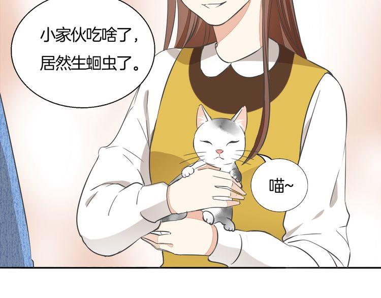 第37话 小团子猫咪(1/2)-第39话