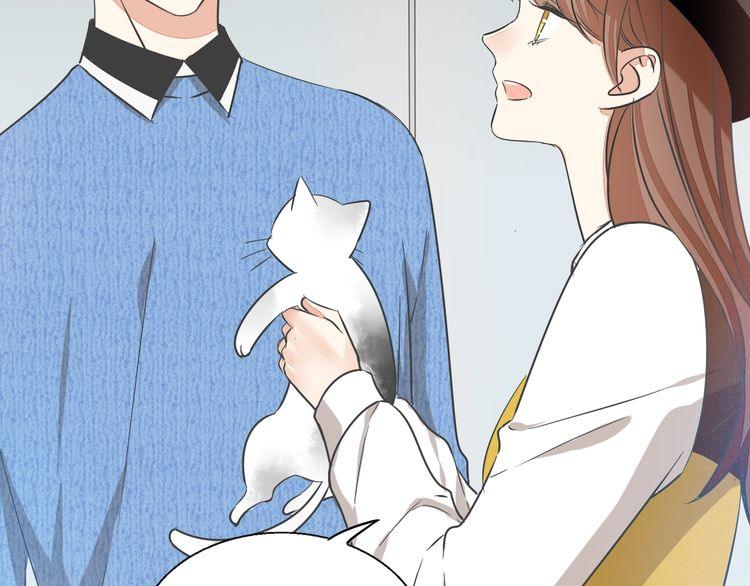 第37话 小团子猫咪(1/2)-第39话