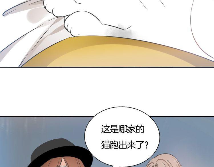 第37话 小团子猫咪(1/2)-第39话