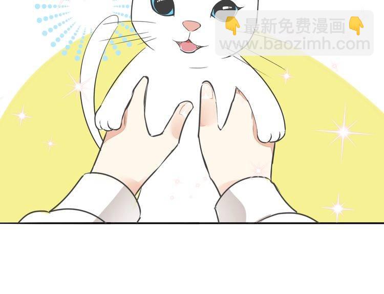 第37话 小团子猫咪(1/2)-第39话