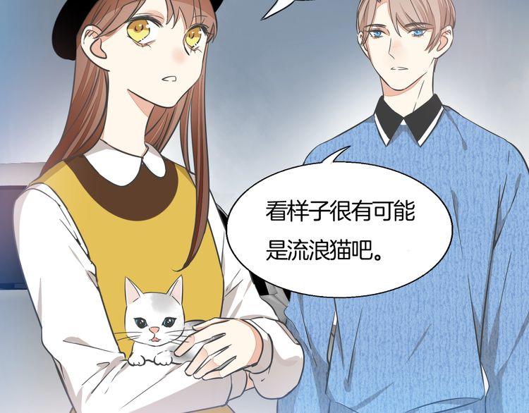 第37话 小团子猫咪(1/2)-第39话