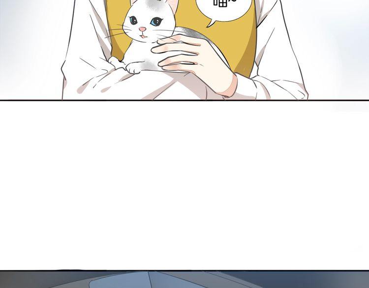 第37话 小团子猫咪(1/2)-第39话