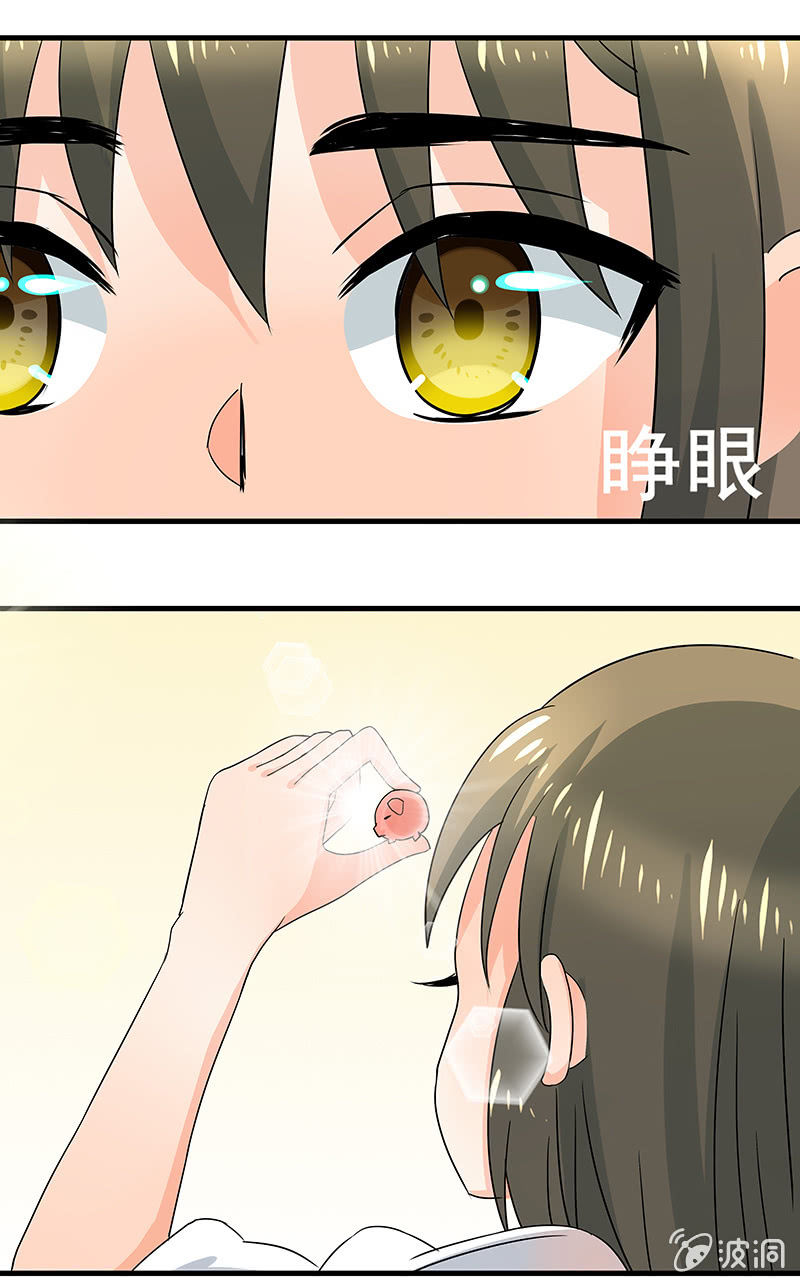 是&ldquo;珠&rdquo;不是&ldquo;猪&rdquo;-第37话