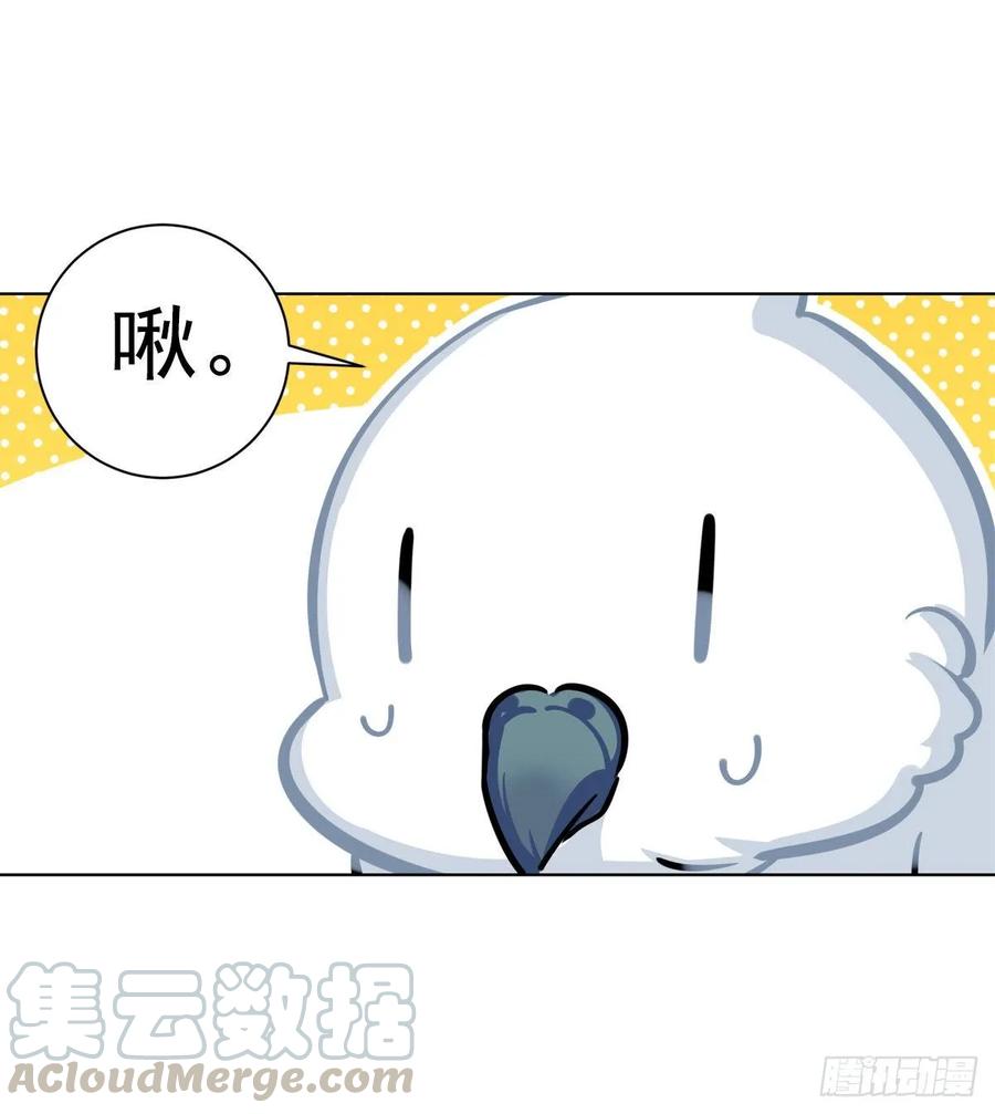 白君的秘密-第105话