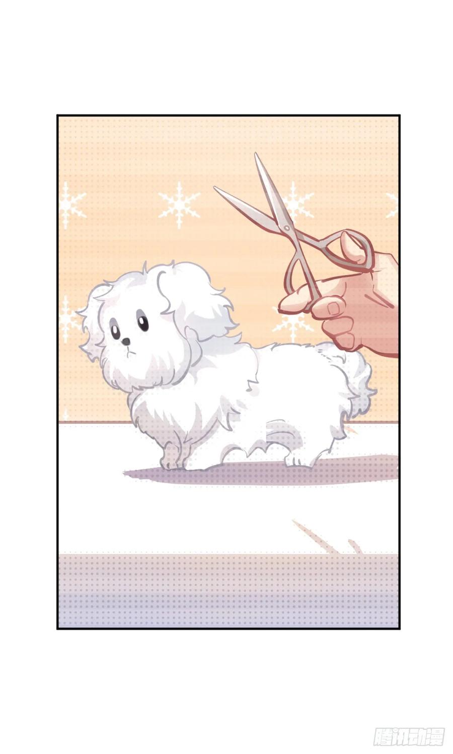 文轩：老师我帮你理发-第119话