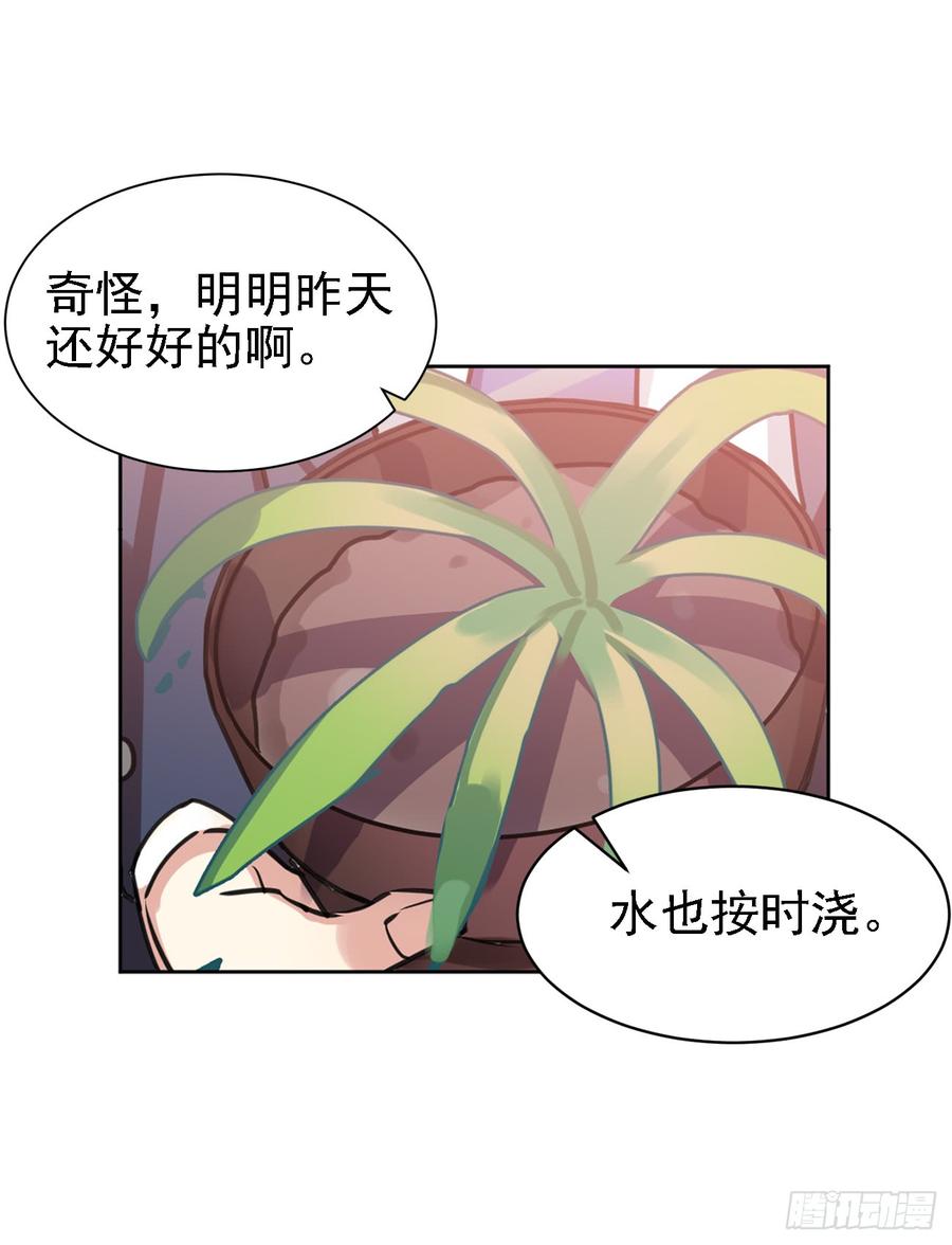 毛毛：和阿笑说？不和阿笑说？-第41话