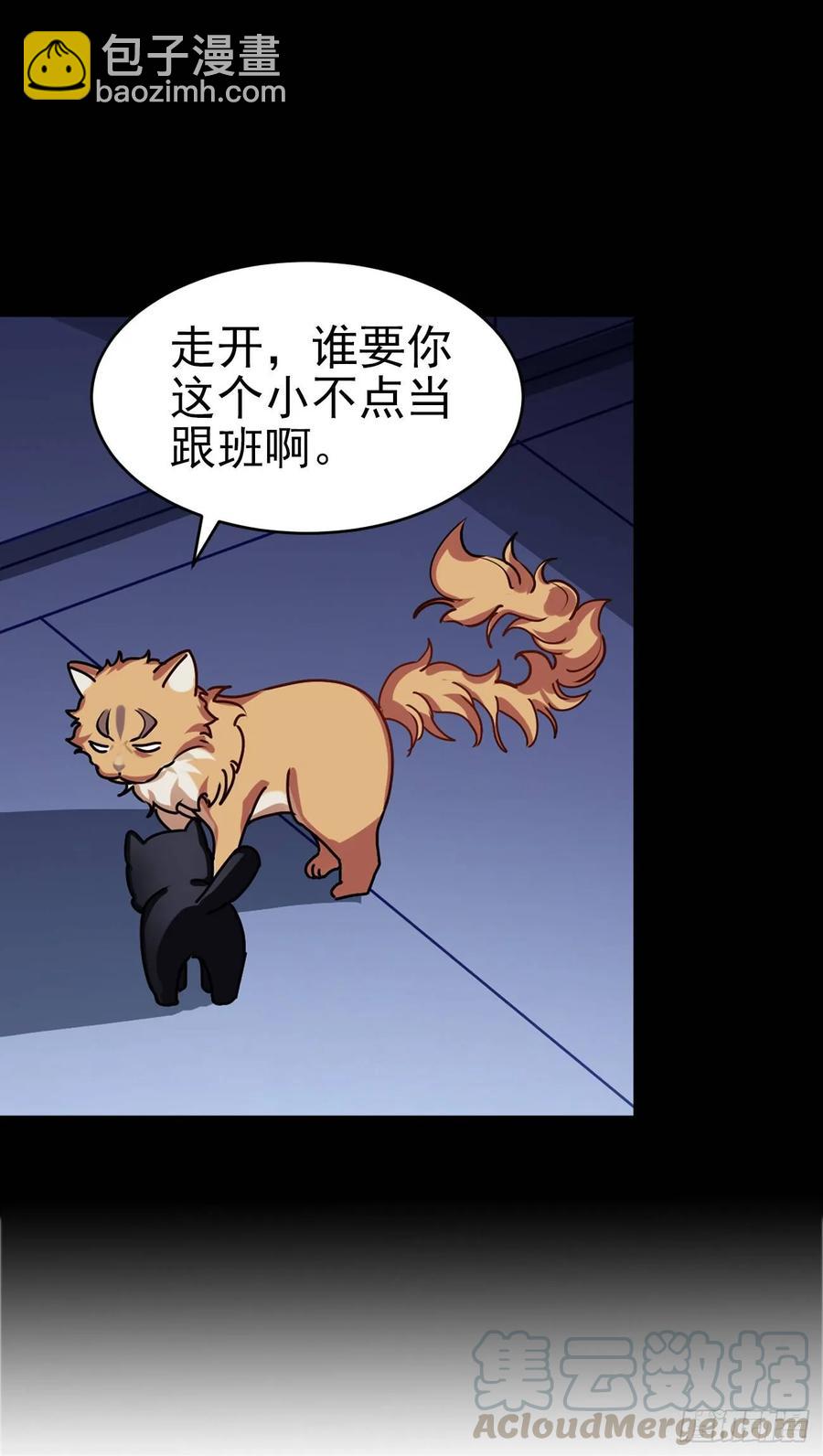 大师失踪的原因（二）-第71话